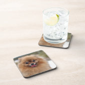 Portrait Spitz Dog Untersetzer (Rechte Seite)