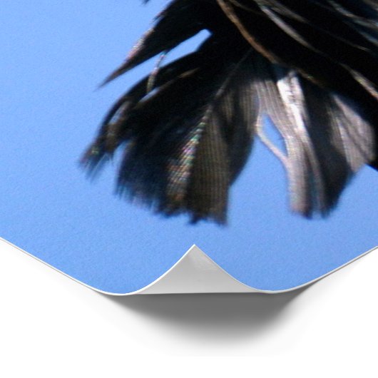 Portrait Türkei-Geier Poster (Ecke)