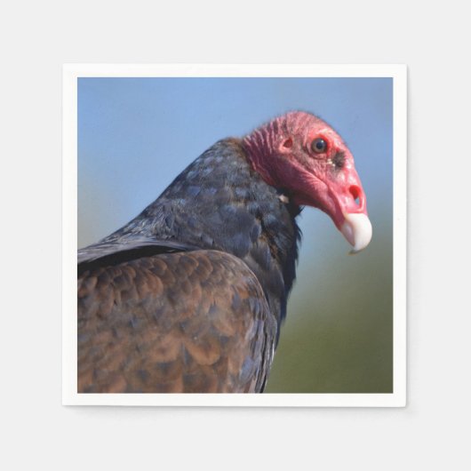 Portrait Türkei-Geier Serviette (Vorderseite)