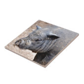 Portrait vietnamesisches Töpferschwein Fliese (Seite)