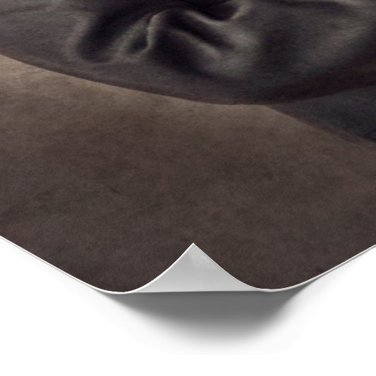 Portrait von A Lion Poster (Ecke)