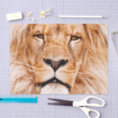 Portrait von African Lion Wildlife Animal Closeup Seidenpapier (Handwerk)