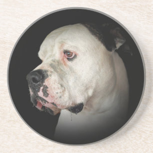 Portrait von American Bull Dog Getränkeuntersetzer