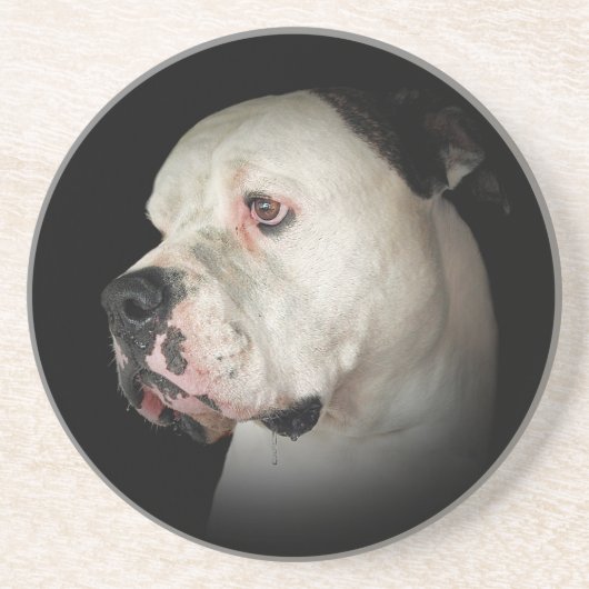 Portrait von American Bull Dog Getränkeuntersetzer (Vorne)