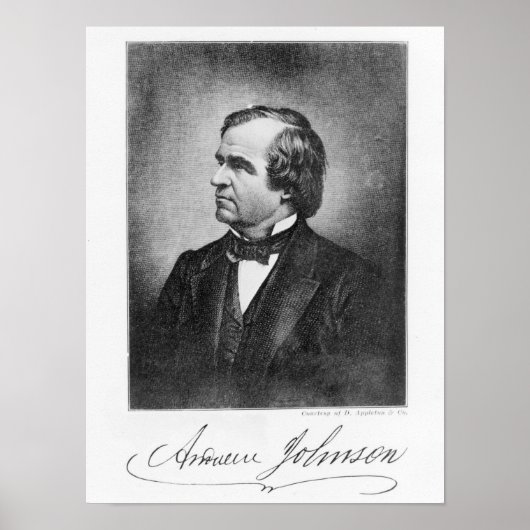 Portrait von Andrew Johnson Poster (Vorne)