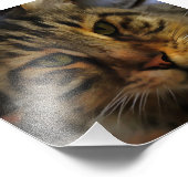 Portrait von Artistic Pet, lang haarige Tablette, Fotodruck (Ecke)