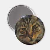 Portrait von Artistic Pet, lang haarige Tablette, Magnet (Vorderseite/Rückseite)