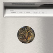 Portrait von Artistic Pet, lang haarige Tablette, Magnet (In Situ (Geschirrspüler))