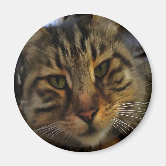 Portrait von Artistic Pet, lang haarige Tablette, Magnet (Vorne)