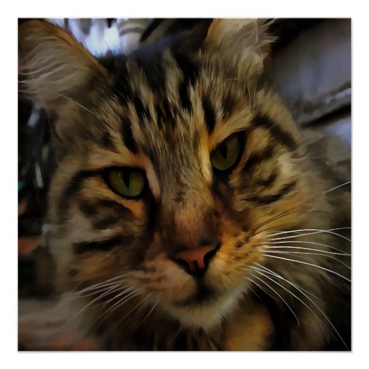 Portrait von Artistic Pet, lang haarige Tablette, Poster (Vorderseite)