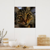 Portrait von Artistic Pet, lang haarige Tablette, Poster (Küche)