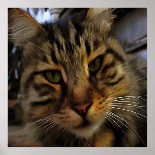 Portrait von Artistic Pet, lang haarige Tablette, Poster (Vorne)