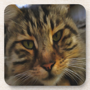 Portrait von Artistic Pet, lang haarige Tablette,  Untersetzer