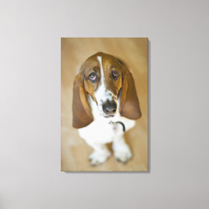 Portrait von Bassett, Washington 2 Leinwanddruck