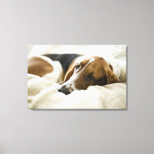 Portrait von Bassett, Washington Leinwanddruck