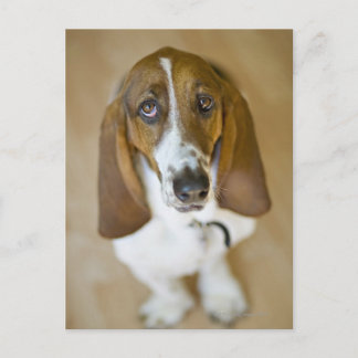 Portrait von Bassett, Washington Postkarte