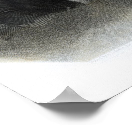 Portrait von Benjamin Disraeli Esquire M.P. Poster (Ecke)