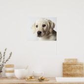 Portrait von blond Labrador Retriever Welpe Poster (Küche)