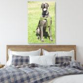 Portrait von Blue Great Dane Leinwanddruck (Insitu (Schlafzimmer))