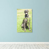 Portrait von Blue Great Dane Leinwanddruck (Insitu (Holzboden))
