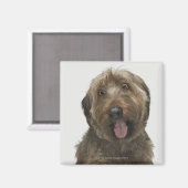 Portrait von Briard Hund Magnet (Vorderseite/Rückseite)