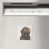 Portrait von Briard Hund Magnet (In Situ (Geschirrspüler))