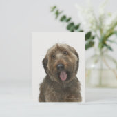 Portrait von Briard Hund Postkarte (Stehend Vorderseite)