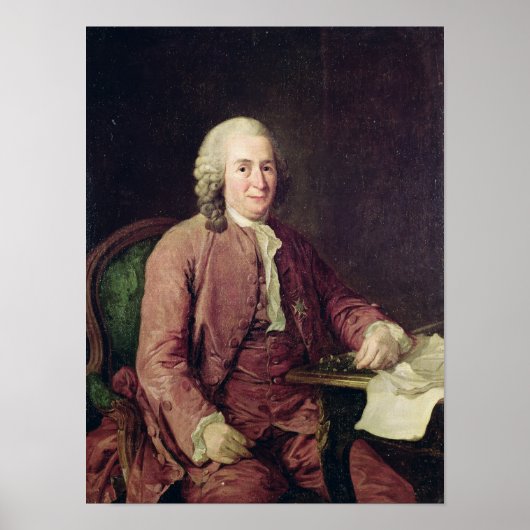 Portrait von Carl von Linnaeus Poster (Vorne)