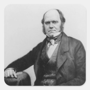 Portrait von Charles Darwin, 1854 Quadratischer Aufkleber