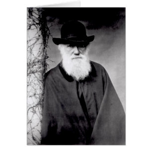 Portrait von Charles Darwin 1881