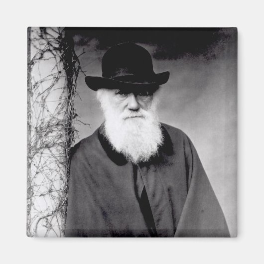 Portrait von Charles Darwin 1881 Magnet (Vorne)