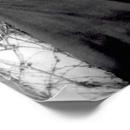 Portrait von Charles Darwin 1881 Poster (Ecke)