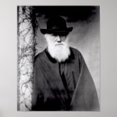 Portrait von Charles Darwin 1881 Poster (Vorne)