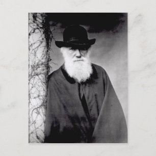 Portrait von Charles Darwin 1881 Postkarte