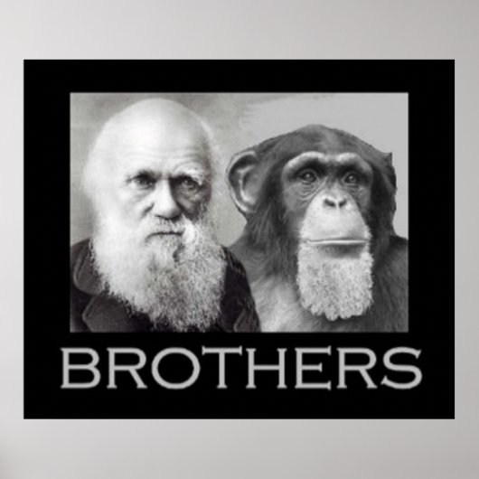 Portrait von Charles Darwin und Ape Poster (Vorne)