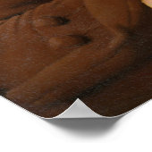 Portrait von Dr. Erasmus Darwin Poster (Ecke)