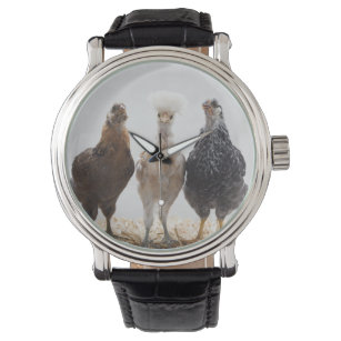 Portrait von drei Heimtieren - Zukunftsaussichten Armbanduhr