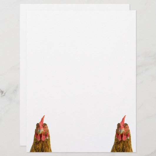 Portrait von Hühnern (Vorne/Hinten)