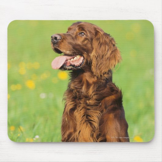 Portrait von Hund 2 Mousepad (Vorne)