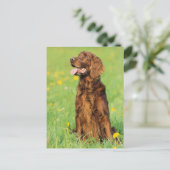 Portrait von Hund 2 Postkarte (Stehend Vorderseite)