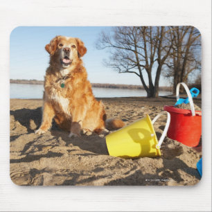 Portrait von Hund am Strand mit Sandspielzeug, Ott Mousepad