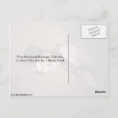 Portrait von Jean-Jacques Rousseau von Allan Ramsa Postkarte (Rückseite)