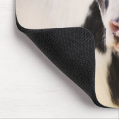 Portrait von Jungkalb in Stall Mousepad (Ecke)