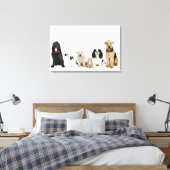 Portrait von Katzen und Hunden, die zusammen sitze Leinwanddruck (Insitu (Schlafzimmer))