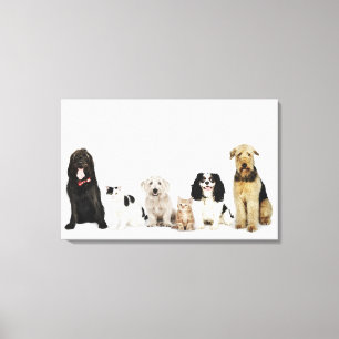 Portrait von Katzen und Hunden, die zusammen sitze Leinwanddruck
