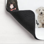 Portrait von Katzen und Hunden, die zusammen sitze Mousepad (Ecke)