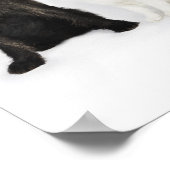 Portrait von Katzen und Hunden, die zusammen sitze Poster (Ecke)