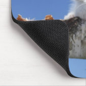 Portrait von Kitten Mousepad (Ecke)
