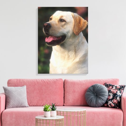 Portrait von Labrador Retriever, Hilton Leinwanddruck (Insitu (Wohnzimmer))