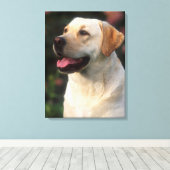 Portrait von Labrador Retriever, Hilton Leinwanddruck (Insitu (Holzboden))